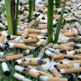 Pour les responsables de stop2drop, "un mégot de cigarette peut sembler insignifiant, mais il est extrêmement dangereux" pour les jeunes enfants et l'environnement (image d'illustration). KEYSTONE/MAGALI GIRARDIN